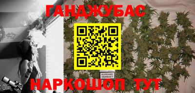 шишки Краснознаменск