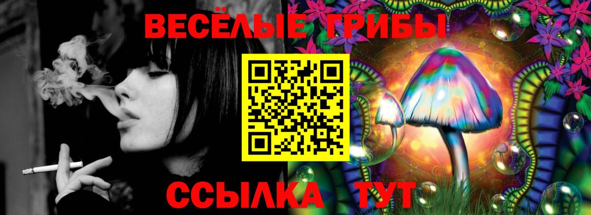 Галлюциногенные грибы мухоморы  как найти   Кизилюрт  Галлюциногенные грибы Psilocybe  Вход с VPN 